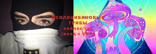 хмурый Богородск