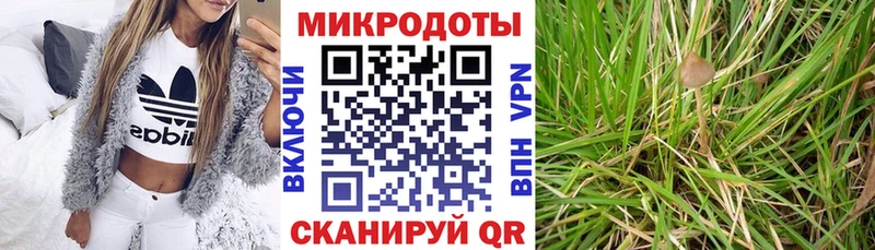 Псилоцибиновые грибы мухоморы  закладки  Власиха 